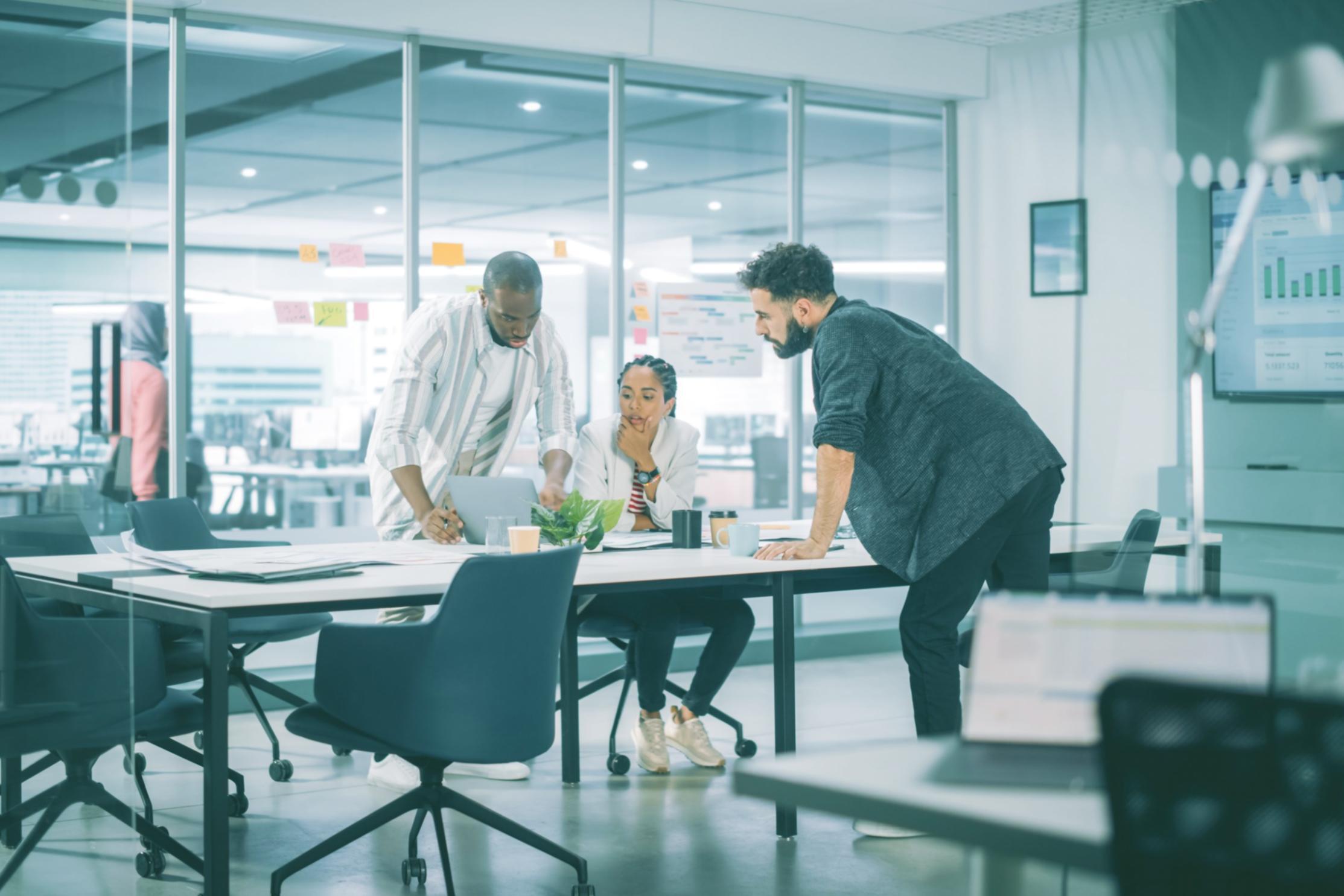 Students working collaboratively on business projects